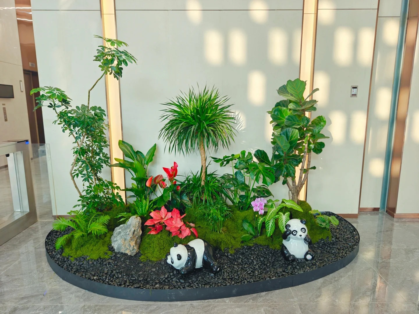余姚植物租摆服务超出色,究竟藏着啥秘诀?